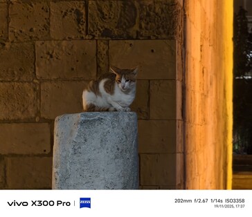 Vivo X300 Pro 200 mm zonder teleconverter.