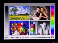 Brede OLED kijkhoeken