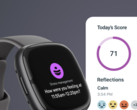 Na 8 juli zullen Fitbit-klanten de Fitbit-app moeten gebruiken. (Afbeeldingsbron: Fitbit)