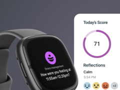 Na 8 juli zullen Fitbit-klanten de Fitbit-app moeten gebruiken. (Afbeeldingsbron: Fitbit)