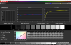 Grijswaarden (gekalibreerd)