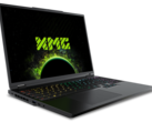 De generatiesprong tussen de mobiele RTX 4080 en mobiele RTX 5080 is waar we hem verwachten zonder DLSS upscaling-functies (Afbeeldingsbron: Schenker)