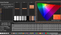 CalMAN: ColorChecker (gekalibreerd)