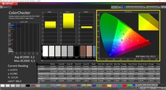 CalMAN ColorChecker (profiel: Standaard, doelkleurruimte P3)