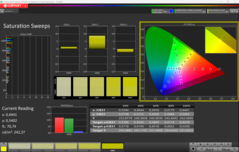 CalMAN verzadigingsvegen (na kalibratie)