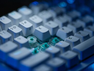 SAPP-ring op de schakelaar gemonteerd.