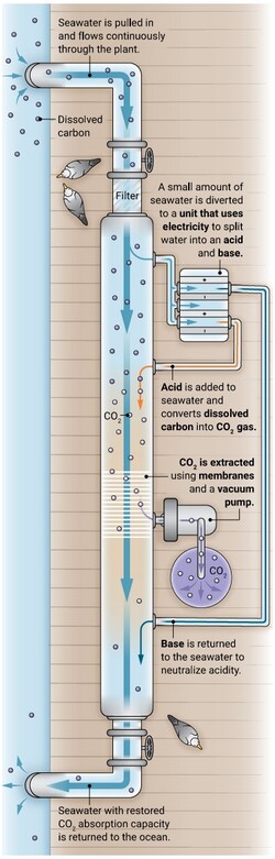 Vooral de daaropvolgende opslag is een grote taak. Filteren daarentegen, hier schematisch weergegeven, is helemaal niet moeilijk. (Afbeelding: N.Burgess/Science)