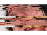 Een screenshot uit het horrorspel VILE: Exhumed, met een gepauzeerde en glitched VHS-video van een vrouw. (Afbeelding Bron: DreadXP/Final Girl Games)
