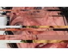 Een screenshot uit het horrorspel VILE: Exhumed, met een gepauzeerde en glitched VHS-video van een vrouw. (Afbeelding Bron: DreadXP/Final Girl Games)