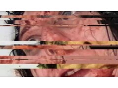 Een screenshot uit het horrorspel VILE: Exhumed, met een gepauzeerde en glitched VHS-video van een vrouw. (Afbeelding Bron: DreadXP/Final Girl Games)