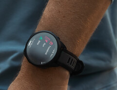 Softwareversie 19.18 brengt talrijke bugfixes en verbeteringen voor de Forerunner 165. (Afbeelding bron: Garmin)