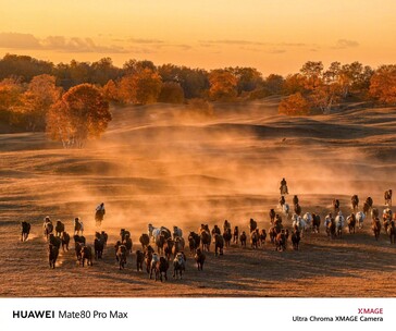 (Afbeeldingsbron: Huawei)