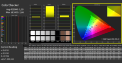 CalMAN - Color Checker (gekalibreerd)