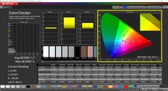 CalMAN ColorChecker (doelkleurruimte P3)