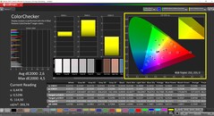 CalMAN ColorChecker (profiel: Native, doelkleurruimte P3)