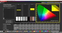 Calman ColorChecker (Profiel: P3, Doelkleurruimte: P3)