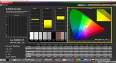 CalMAN ColorChecker gekalibreerd (profiel: P3, doelkleurruimte: P3)