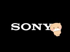 De slapeloze beer Nemu is bedoeld om Sony te helpen bij het opbouwen van een internationaal succesvol personagemerk.