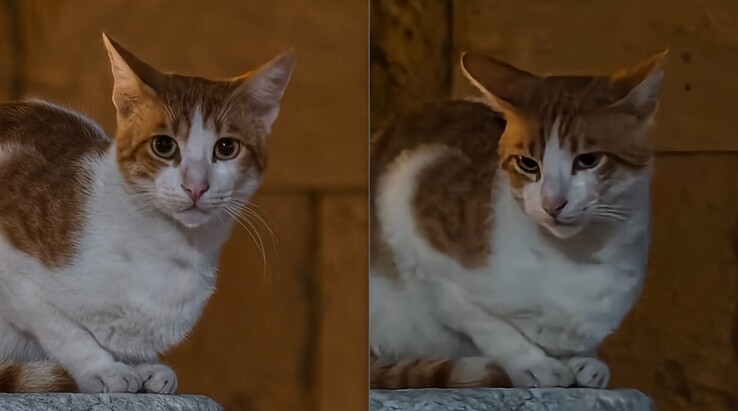 Links: Met teleconverter op 200 mm. Rechts: Zonder teleconverter.