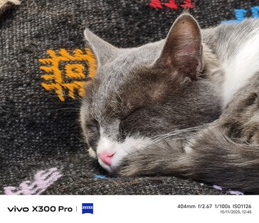 Vivo X300 Pro 400 mm zonder teleconverter.