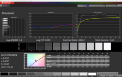 CalMAN grijstinten (profiel: standaard)