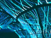 Glasvezelkabels kunnen ook worden gebruikt om kunstwerken te maken. (Afbeeldingsbron: Pexels/Georgie Devlin)