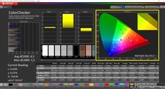 CalMAN ColorChecker (profiel: P3, doelkleurruimte: P3)