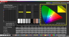 CalMAN ColorChecker gekalibreerd (DCI-P3 kleurendoelruimte)