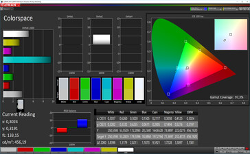 CalMAN: Colour Space – sRGB doel kleurenspecturm, aangepaste witbalans