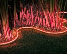 Philips Hue stopt met slimme lampen zoals de Outdoor Lightstrip (afbeelding). (Afbeeldingsbron: Philips Hue)