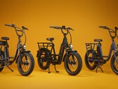 De RadRunner Max Cargo utility e-bike heeft een 750 W achter gemonteerde motor (Afbeelding bron: Rad Power Bikes)