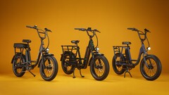De RadRunner Max Cargo utility e-bike heeft een 750 W achter gemonteerde motor (Afbeelding bron: Rad Power Bikes)