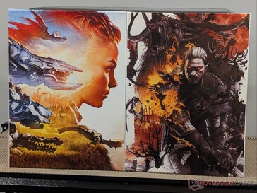 Horizon Zero Dawn (door Ilya Golitsyn) en Witcher 3 (door Grzegorz Domaradzki) kunstwerken op canvas.