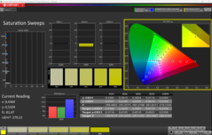 CalMAN verzadiging (P3)