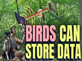 Vogels kunnen gegevens opslaan (bron: Benn Jordan YouTube-kanaal)