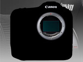 Hoewel er al veel is uitgelekt over de Canon EOS R1, zijn de exacte specificaties nog steeds een mysterie. (Afbeelding bron: Canon - bewerkt)