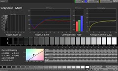 Grijze schalen (profiel: Original Pro, doelkleurruimte: sRGB)