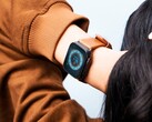 De levensduur van de batterij van de Apple Watch is momenteel een probleem voor veel gebruikers. (Afbeelding: Sayan Majhi)