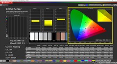 CalMAN ColorChecker (profiel: P3 Fotografie, doelkleurruimte: P3)