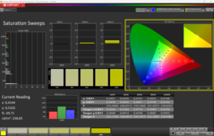 CalMAN verzadigingsvegen (sRGB)