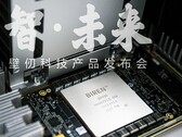 De BR100 lijkt even groot te zijn als de A100 van Nvidia. (Beeldbron: EETrend)