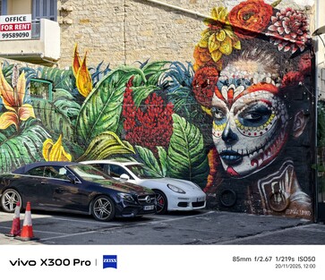 Vivo X300 Pro: Foto voorbeeld