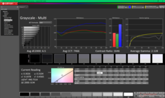 Grijswaarden vóór kalibratie