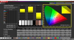 CalMAN ColorChecker (profiel: DisplayP3, doelkleurruimte: P3)