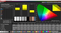 CalMAN ColorChecker (doelkleurruimte P3)