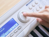 Het Casio LK-550WE-keyboard