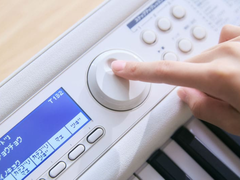 Het Casio LK-550WE-keyboard