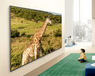 Een promoafbeelding voor de LG QNED84B TV.