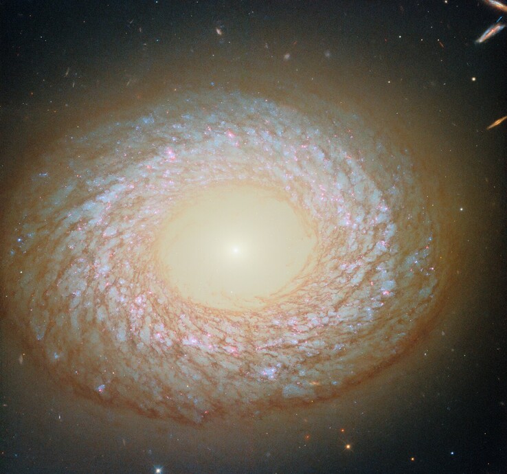 Een afbeelding van NGC 2775 vastgelegd door Hubble (Afbeeldingsbron: ESA/Hubble, NASA, F. Belfiore, J. Lee, en PHANGS-HST Team)