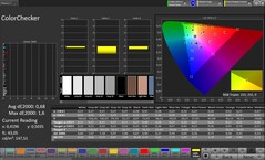Interne weergave: ColorChecker (Profiel: Professional, Doelkleurruimte: sRGB)-